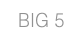 BIG 5