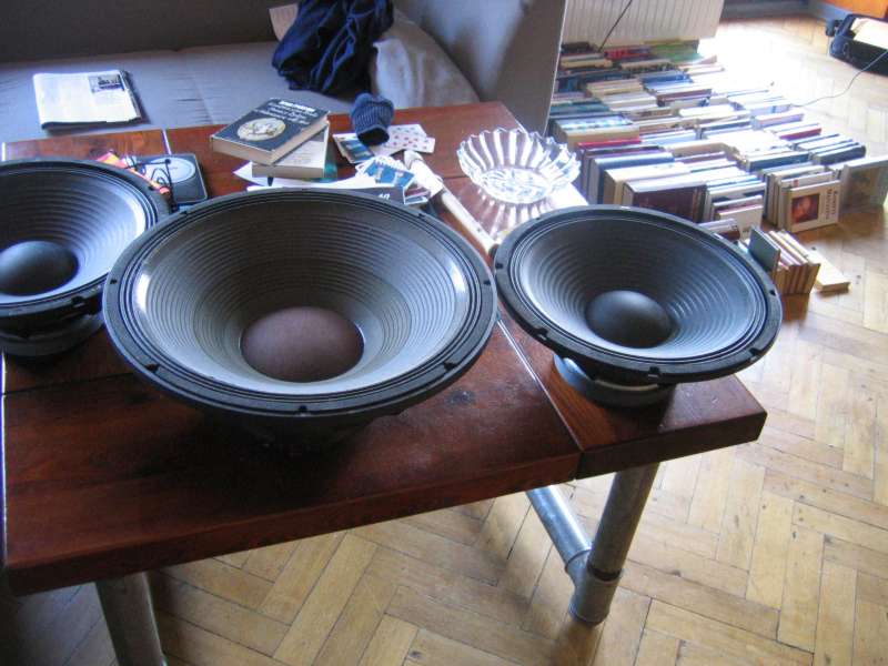 speaker philips 18 inch